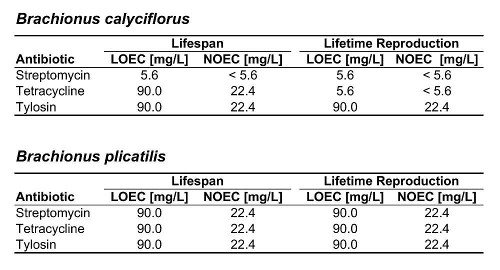 LOEC and NOEC results